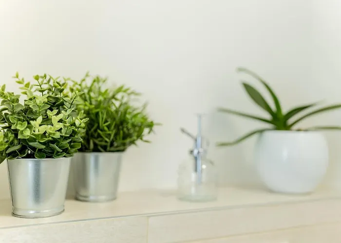 Serena מונופולי